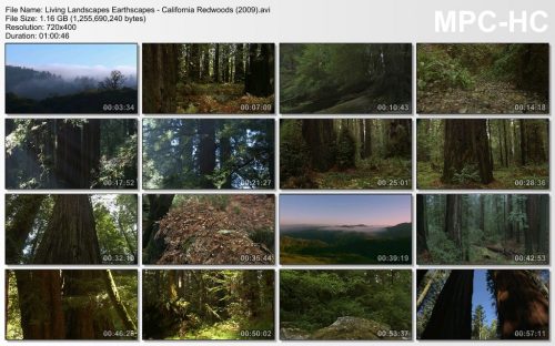 Living Landscapes Earthscapes - California Redwoods (2010)