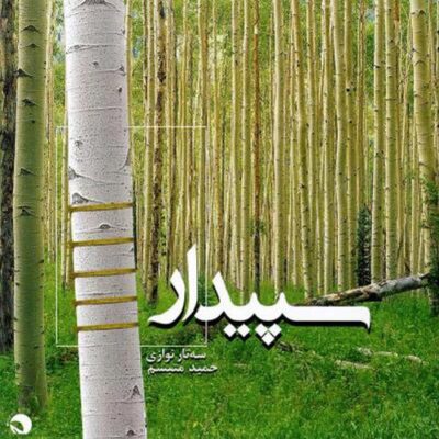 Hamid Motebassem - Sepidar (2017)