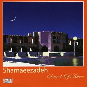 Hassan Shamaizadeh - Sound of River (2009)