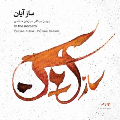 Pejman Hadadi, Pooyan Biglar - In the Moment (2016)