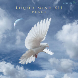 Liquid Mind - Liquid MInd XII Peace (2018)