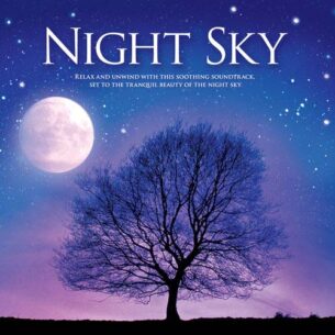 Jeff Victor Night Sky