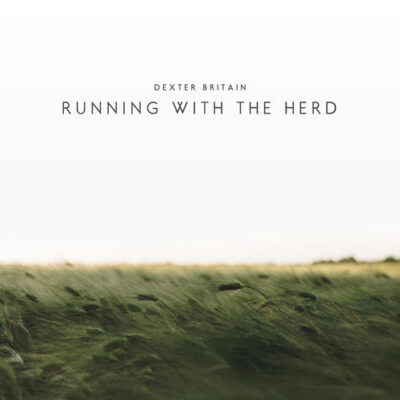 Dexter Britain Running with the Herd