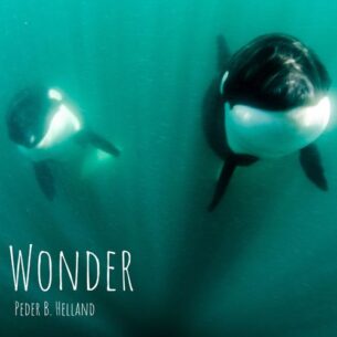 Peder B. Helland Wonder