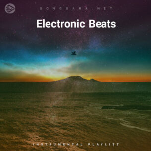 Electronic Beats (Playlist By SONGSARA.NET)