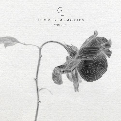 Gavin Luke Summer Memories
