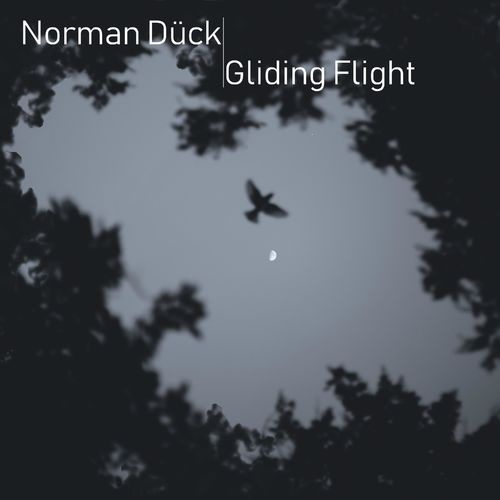 Norman Dück Gliding Flight