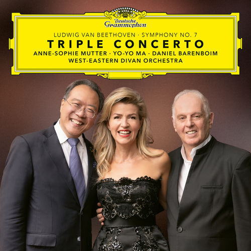 Triple Concerto in C Major, Op. 56: 1. Allegro