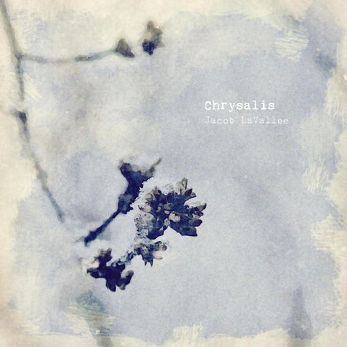 Chrysalis