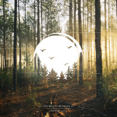 Matt Tondut The Woods Between Us