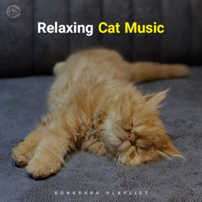 Relaxing Cat Music (Playlist By SONGSARA.NET)