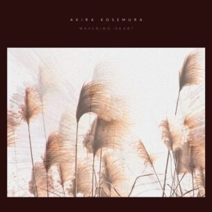 Akira Kosemura Wavering Heart