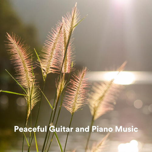 Chris Snelling Peaceful Guitar and Piano Music