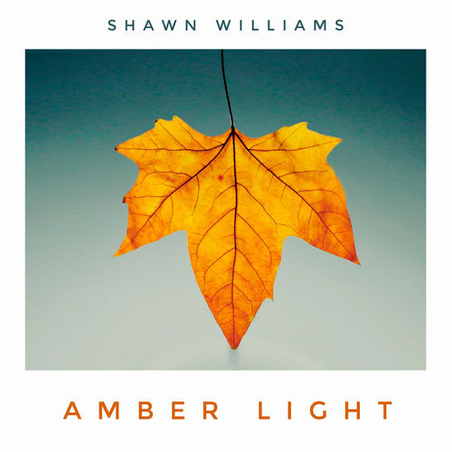 Shawn Williams Amber Light