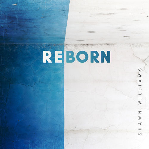 Shawn Williams Reborn