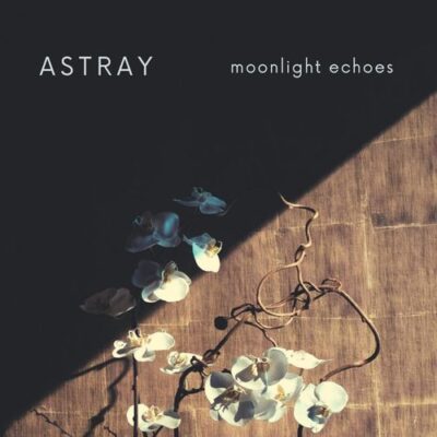 Moonlight Echoes Astray