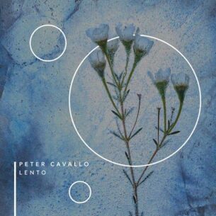 Peter Cavallo Lento
