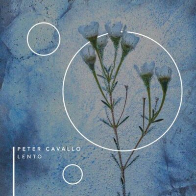 Peter Cavallo Lento