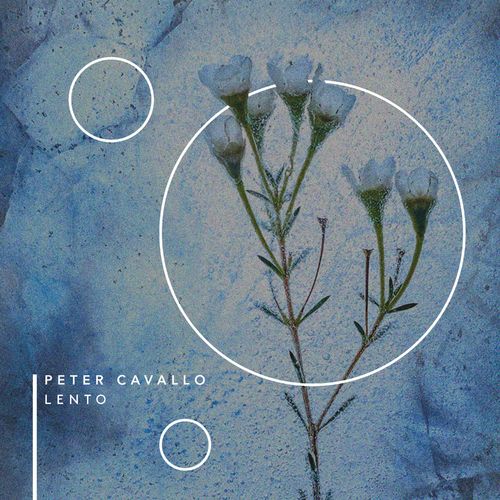 Peter Cavallo Lento