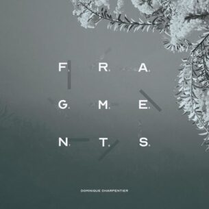 The Piano Lover Fragments