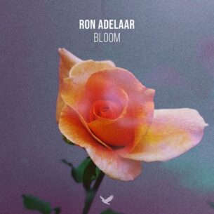 Ron Adelaar Bloom