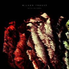 Wilson Trouvé Au fil du temps
