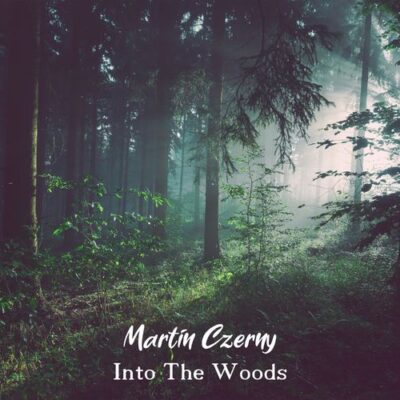 Martin Czerny Into the Woods