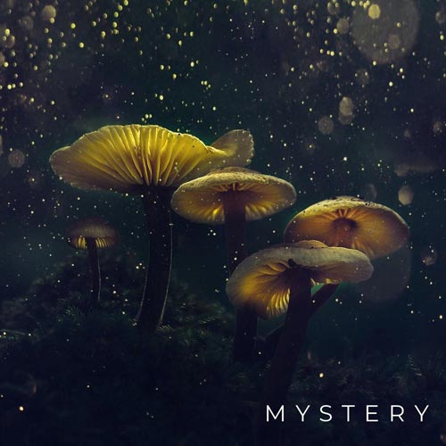 Mystery