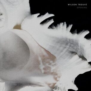 Wilson Trouvé Opening