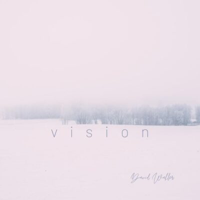 David Wahler Vision