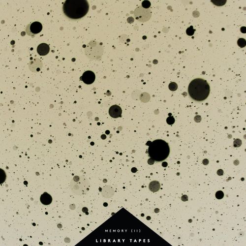 Library Tapes Memory (II)