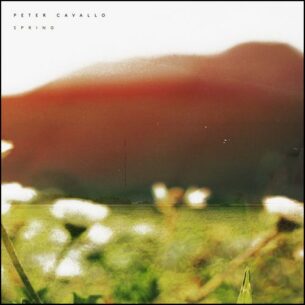Peter Cavallo Spring
