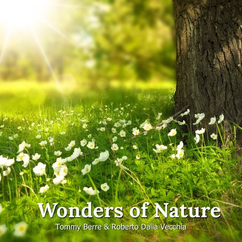 Tommy Berre Wonders Of Nature