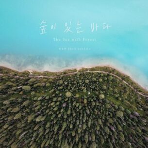Jeon Su Yeon The Sea With Forest