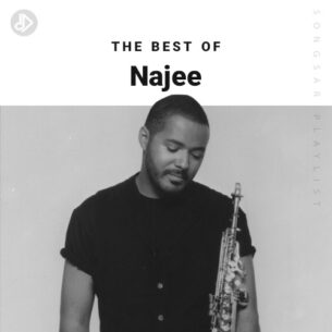 The Best Of Najee (Playlist)