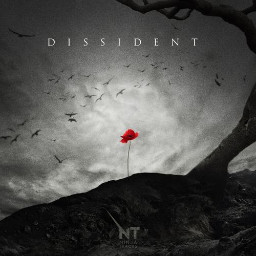 Ninja Tracks Dissident