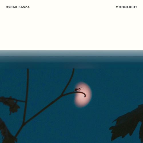 Moonlight