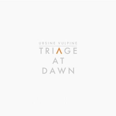 Ursine Vulpine Triage At Dawn