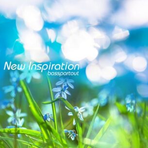 Basspartout New Inspiration