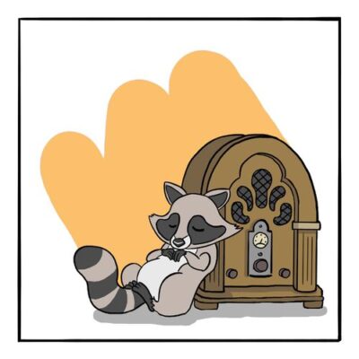 Lock Radio Raccoon
