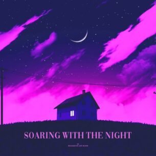 OC soaring with the night