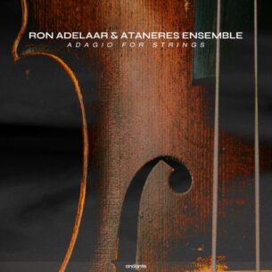 Ron Adelaar Adagio For Strings