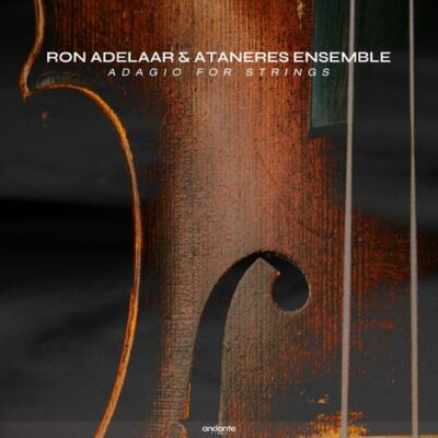 Ron Adelaar Adagio For Strings