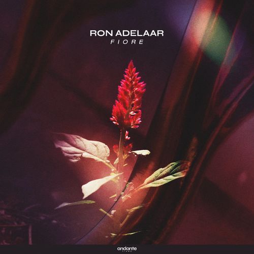 Ron Adelaar Fiore