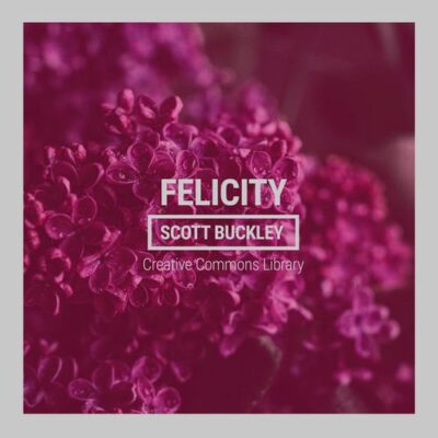 Scott Buckley Felicity