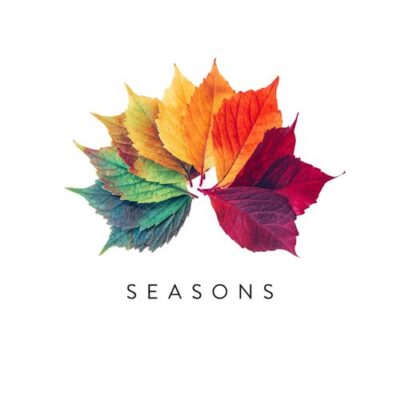 Simon Wester Seasons