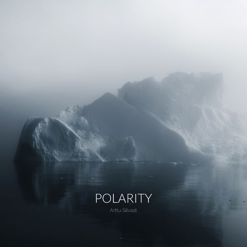 Arttu Silvast Polarity