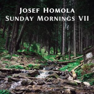 Josef Homola Sunday Mornings VII