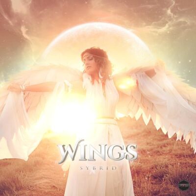 Sybrid Wings