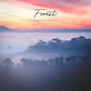 AShamaluevMusic Forest